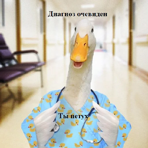 Стикер Pohyigoose - 1