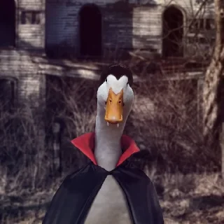 Стикер Gaga - 5