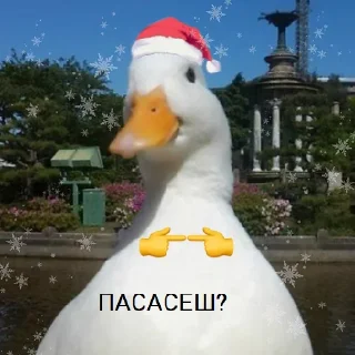 Стикер Gaga - 9