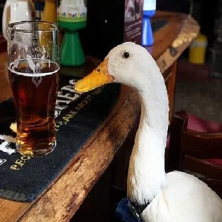 Стикер Gaga - 4