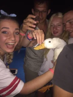 Стикер Gaga - 7