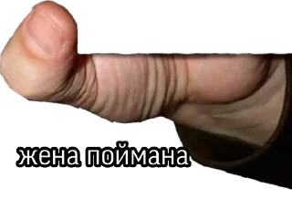 Стикер Пойман @StickersDVM2 - 9