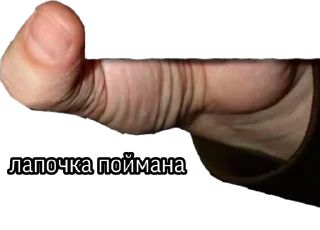 Стикер Пойман @StickersDVM2 - 3