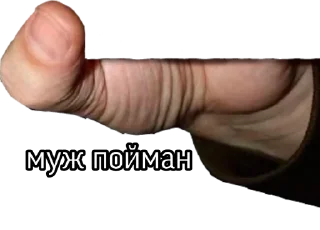 Стикер Пойман @StickersDVM2 - 10