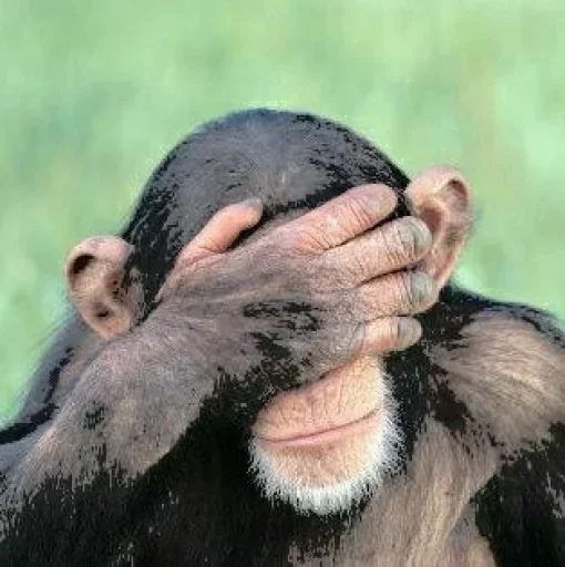 Стикер @visha_bottle   MONKEY - 3