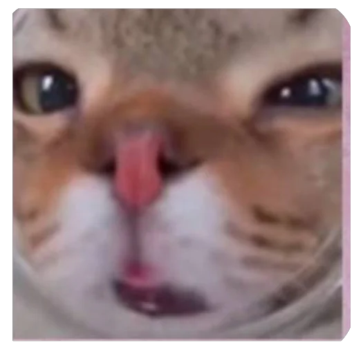 Покажи сиськи Русь - 