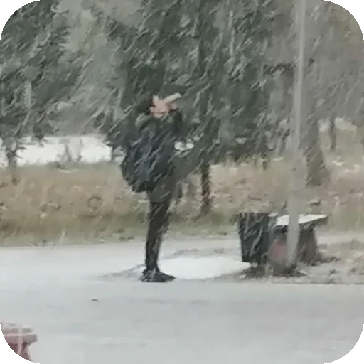 Sticker Pokemony2942 - 1