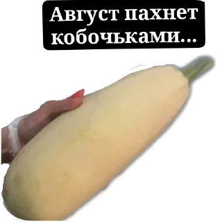 Sticker Полата - 0