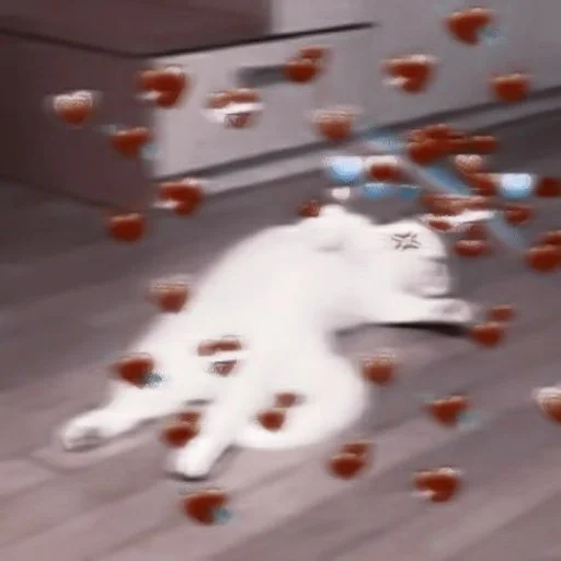 комнатный этаж