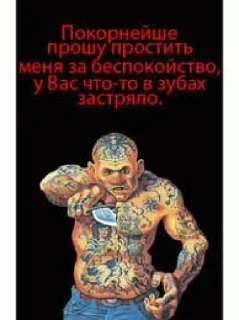 Стикер vnesistem 2 - 10