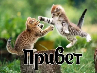 Стикер vnesistem 2 - 2