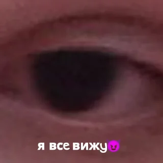 Стикер 50 отенков Полины камаз - 10