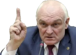 Sticker Litvinenkolove - 1