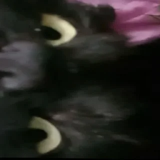 Стикер Полинегрина - 7