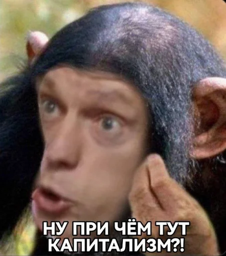 Sticker Politponos - 1