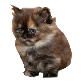 Стикер опасность ананасность🤘🏻 - 3