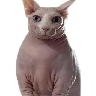 Стикер опасность ананасность🤘🏻 - 6