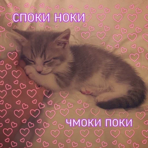 Стикер Люблю Ромашку - 2