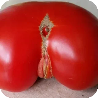 Sticker Помидор - 8