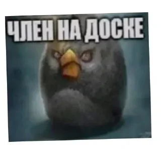 Стикер Помогите - 3