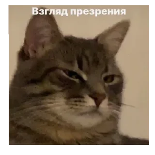 Sticker Поньк - 3