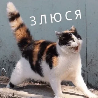 Sticker Поньк - 9