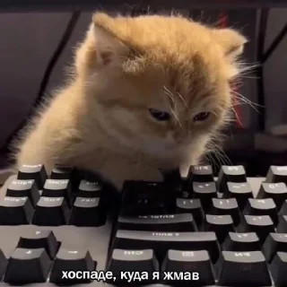 Sticker Поньк - 4