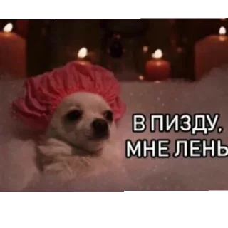 Sticker Поньк - 7