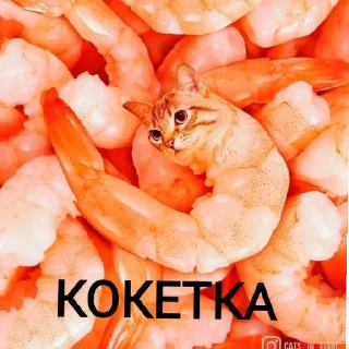 Sticker Поньк - 0