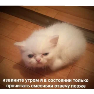 Sticker Поньк - 2