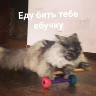 Sticker Поньк - 8