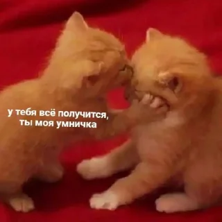 Sticker Поньк - 5