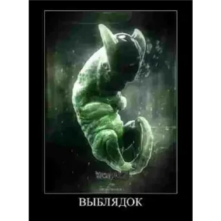 Стикер Понос гоку - 4