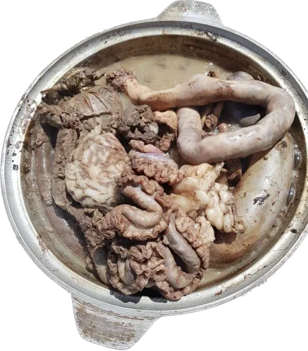 Стикер Ponyhoolondoo - 1