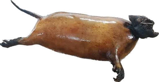 Sticker Ponyhoolondoo - 1