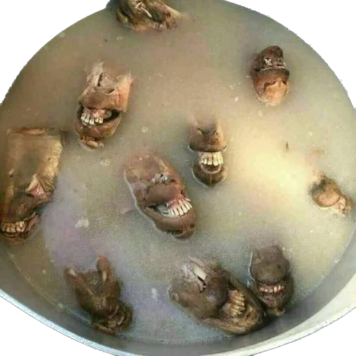 Sticker Ponyhoolondoo - 1