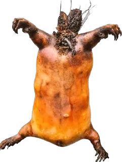 Стикер Hoolondoo by Pony - 9