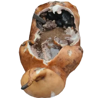 Стикер Hoolondoo by Pony - 7