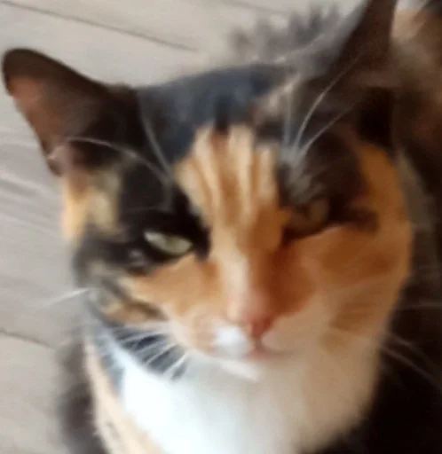 Sticker PoohsCablePyot :: @fStikBot - 10