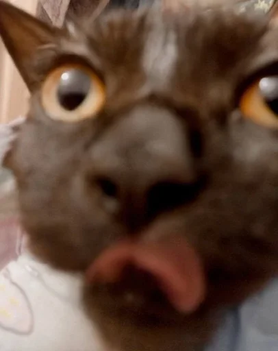 Sticker PoohsCablePyot :: @fStikBot - 8