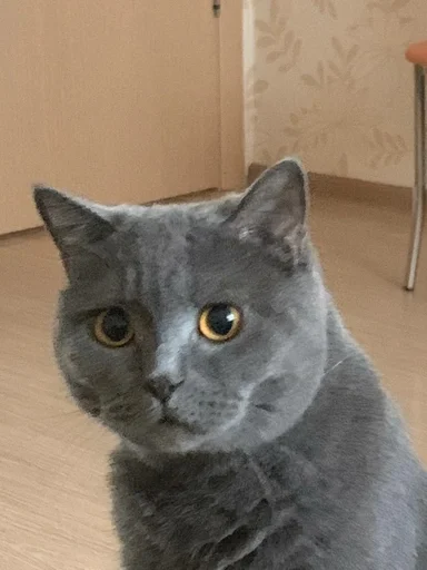 Sticker PoohsCablePyot :: @fStikBot - 7