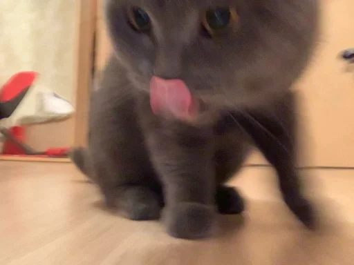 Sticker PoohsCablePyot :: @fStikBot - 6