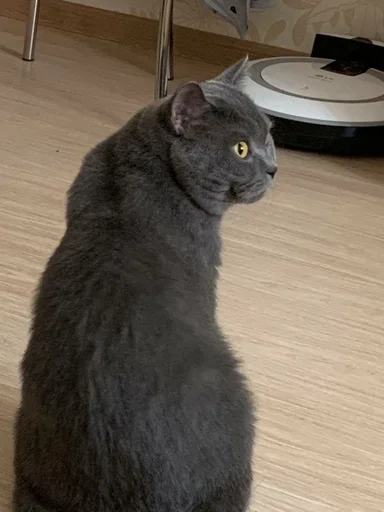 Sticker PoohsCablePyot :: @fStikBot - 3