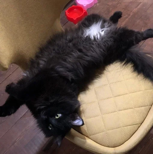 Sticker PoohsCablePyot :: @fStikBot - 2