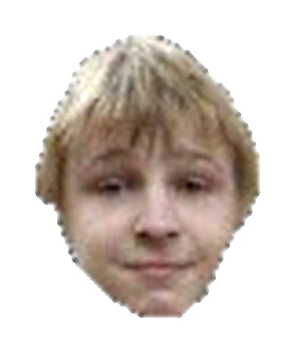 человеческое лицо щека лоб