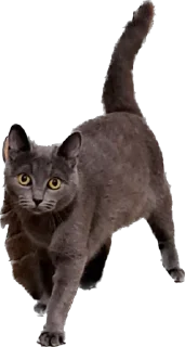 Стикер Терочка - 5