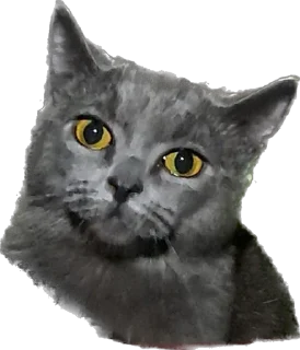 Стикер Терочка - 1