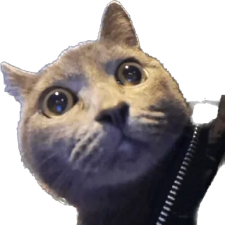 Стикер Терочка - 3