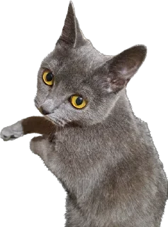 Стикер Терочка - 7