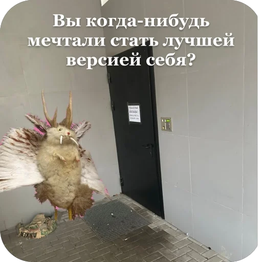 Sticker PopIt688 - 1